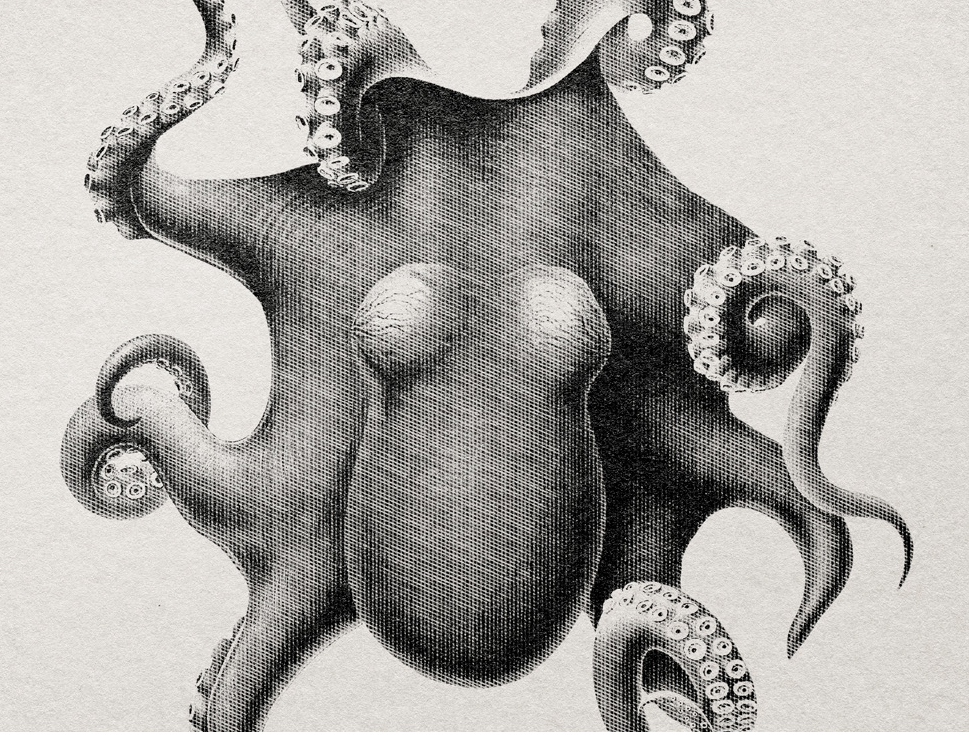 AmpliamentoScuolaCantonaleWohlenArgovia008