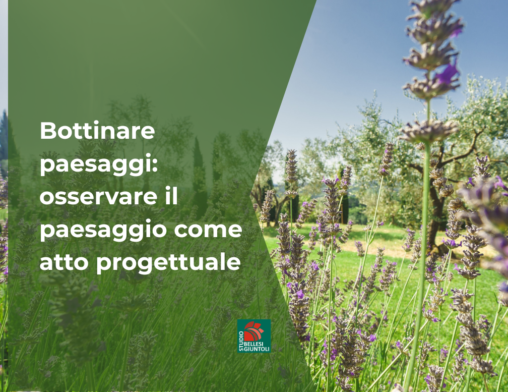 Bottinare paesaggi: osservare il paesaggio come atto progettuale